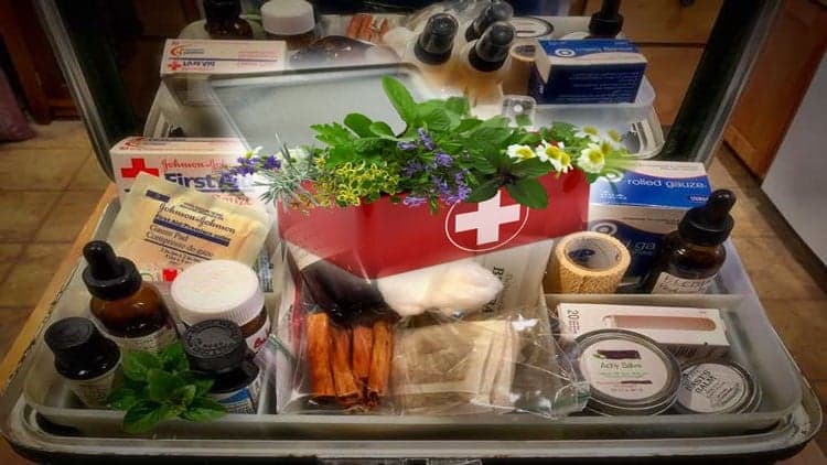 Herbal First Aid Certificate - Free Udemy Course [100% Off]