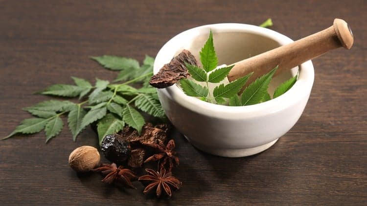 Fundamentals of Ayurveda Free Udemy Course 100% Off Coupon