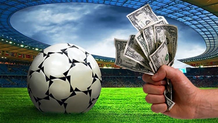 Profit From Matched Sports Betting UK - Free Udemy Course 100% Off