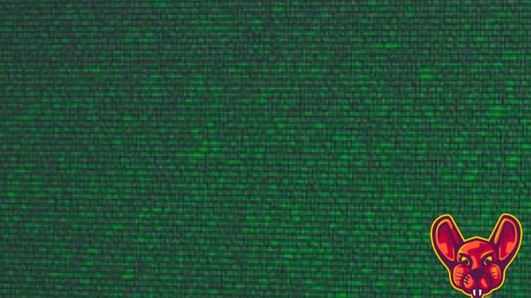 XSS Survival Guide - Free Udemy Course [100% Off Coupon]