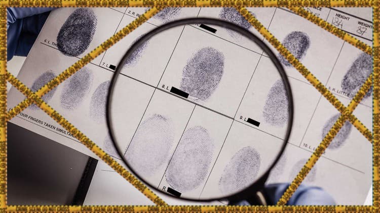 Criminology and Criminal Psychology - Free Udemy Course [100% Off]