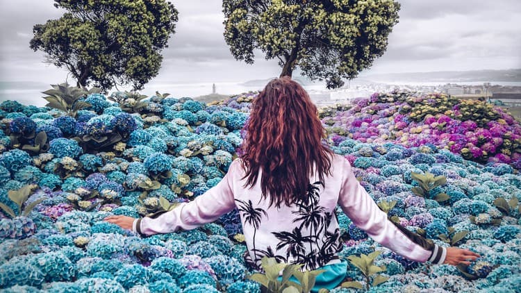 PNL en acción: Siendo felices hoy - Free Udemy Course 100% Off