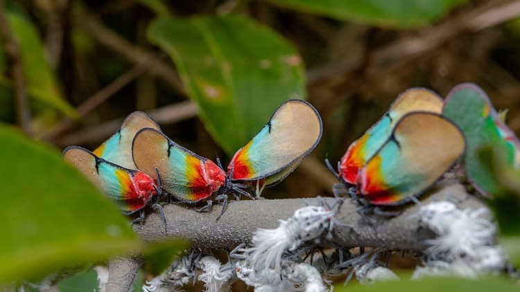 How to Transform Your Life - practical ways