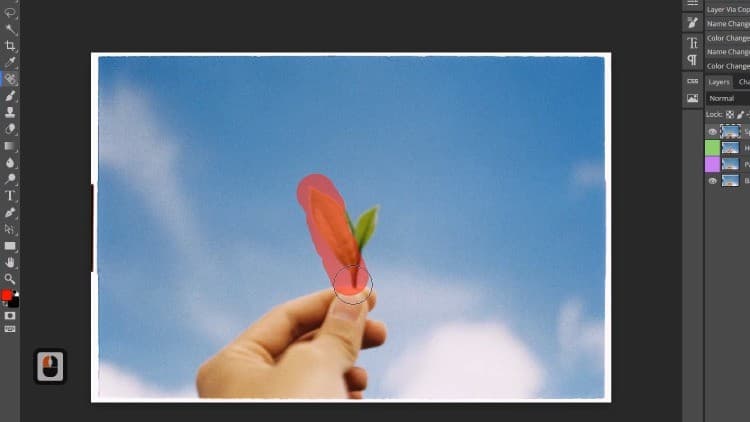 Free Udemy Course: Absolute Beginner's Guide to Editing Images in Photopea [100% Off]