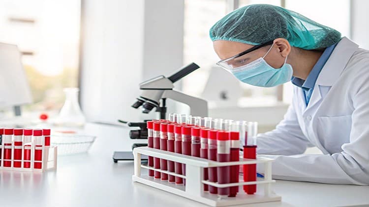 hematology theory and practice  for medical students