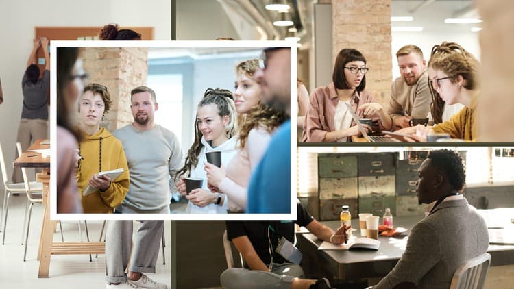 Principles of Effective Communication - Free Udemy Course 100% Off