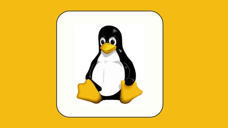 Learn Linux From Scratch - Free Udemy Course [100% Off]