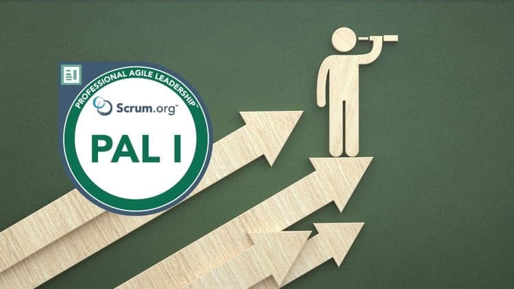 Professional Agile Leadership PAL / PAL-I Practice Exams