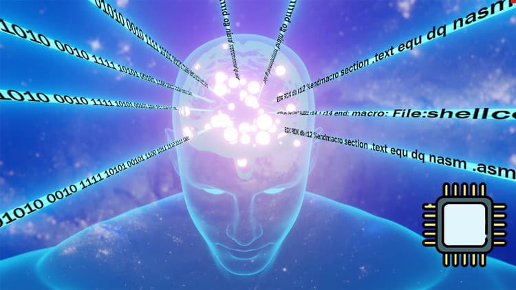 Mastering x86-64 Assembly Programming - Free Udemy Course [100% Off]