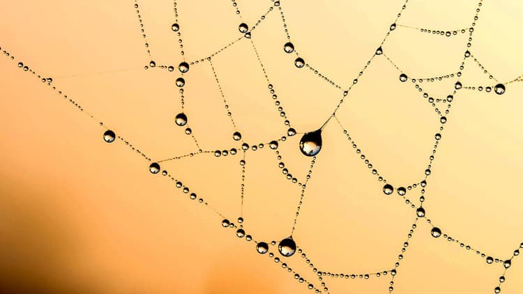 WEB3 Token Gating - Free Udemy Course [100% Off]