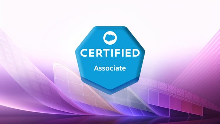 Salesforce Associate Certification - Free Udemy Course 100% Off