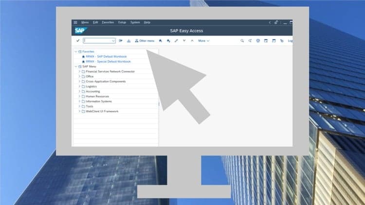 SAP Basics - Free Udemy Course 100% Off [WHALE-WEB-25]