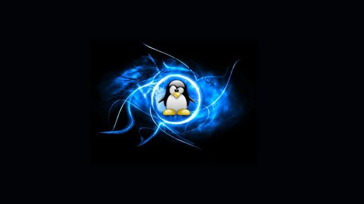 Linux Command Line Fundamentals for Beginners