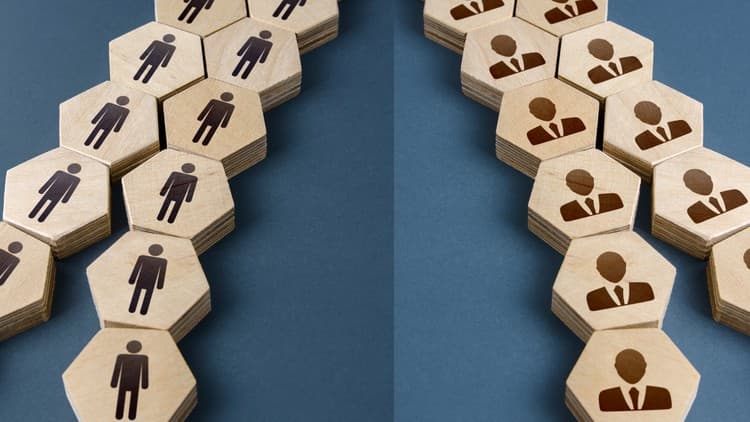 Policies and Procedures Manual - Free Udemy Course 100% Off