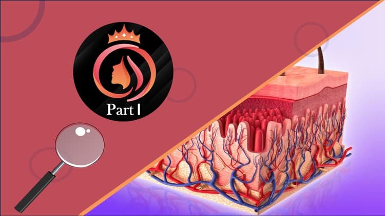 Skin and Hair Care Diploma - Free Udemy Course 100% Off