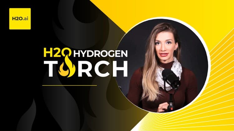 H2O Hydrogen Torch Starter Course - Free Udemy Course [100% Off]