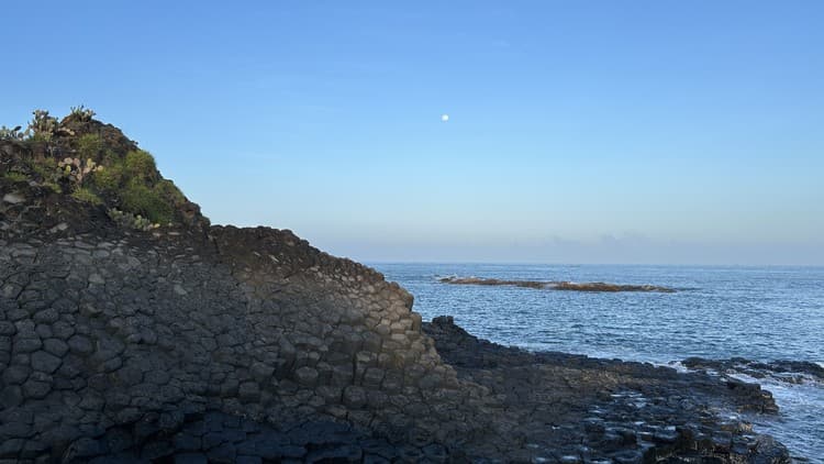 Quản Trị Hiệu Suất - Free Udemy Course [100% Off]