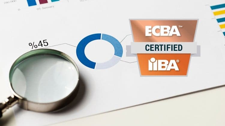 Entry Certificate in Business Analysis (ECBA) Practice Test