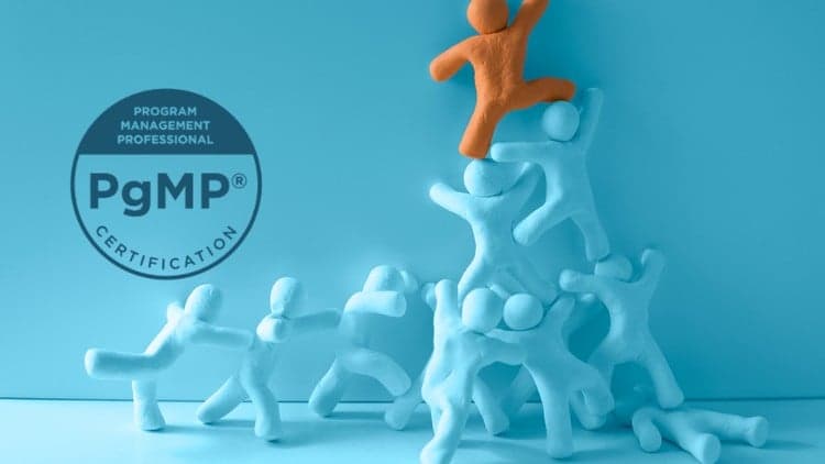 Program Management Professional (PgMP) Practice Exam 2024