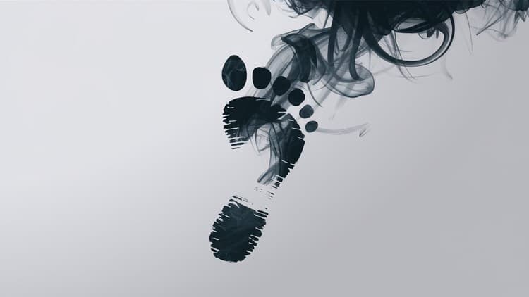 Carbon Footprint 101 - Free Udemy Course 100% Off