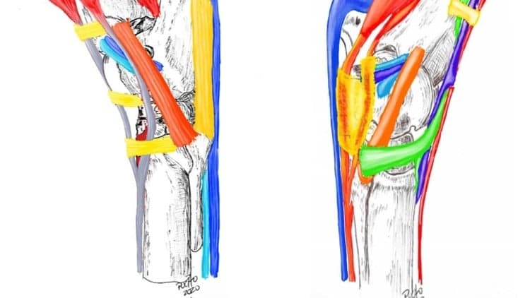 Tarso Equino - Free Udemy Course [100% Off Coupon]