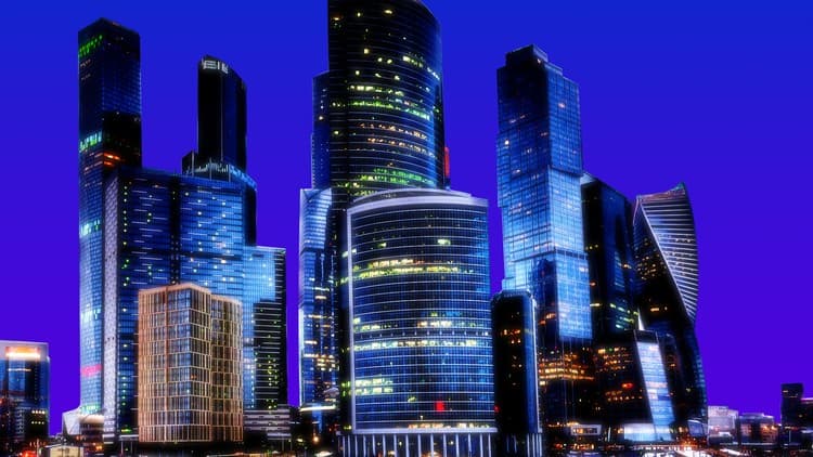 The Nature of Organizations - Free Udemy Course 100% Off