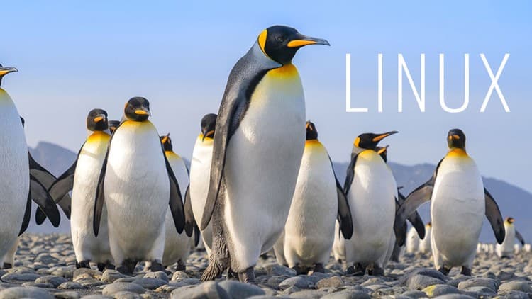 The Complete IT Mega Course Collection - Free Udemy Course [100% Off]