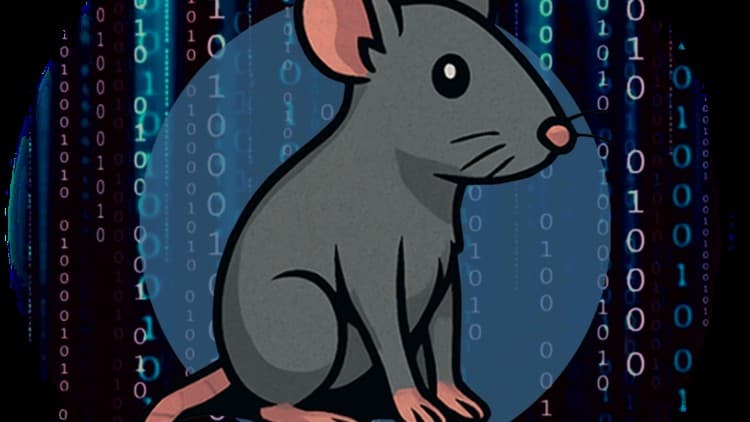 CAPIE API Hacking Expert - Free Udemy Course 100% Off