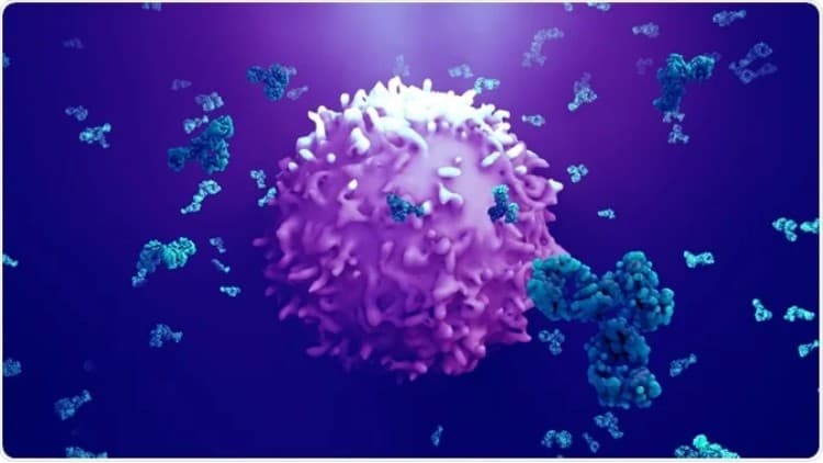 Antigens: The Structure, Function, and Immune Response