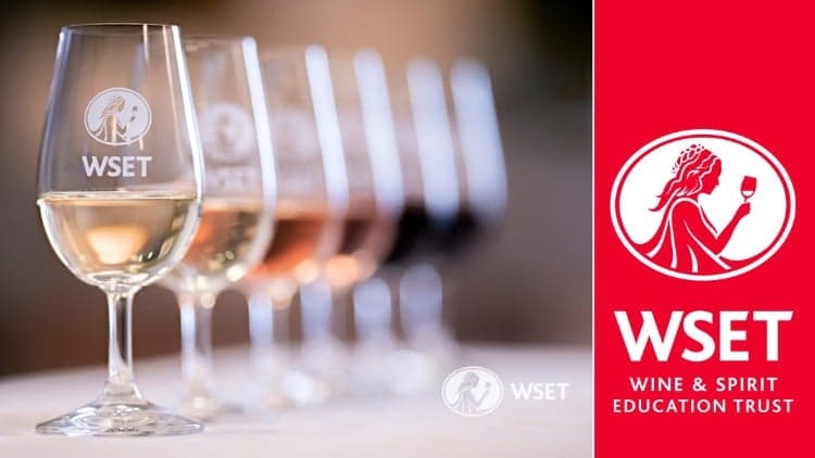 WSET Level 1 Wine Course - Free Udemy Course 100% Off
