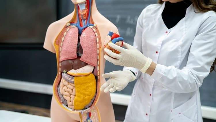 Medical Coding Part 2: CPT Coding & Medical Billing Basics