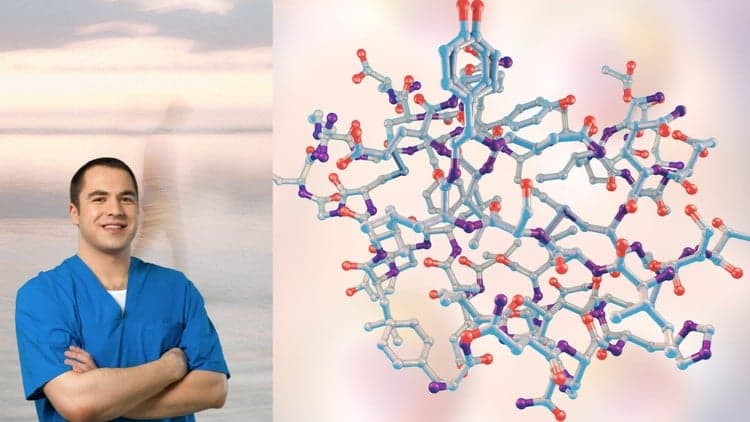 Hormone Health Guide - Free Udemy Course [100% Off]