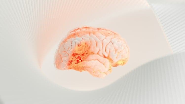 Emotional Intelligence Mastery - Free Udemy Course 100% Off