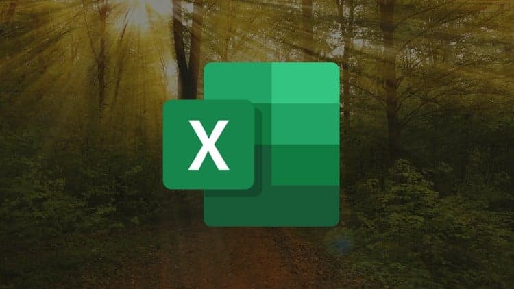The Complete Microsoft Excel Course: Beginner to Advanced