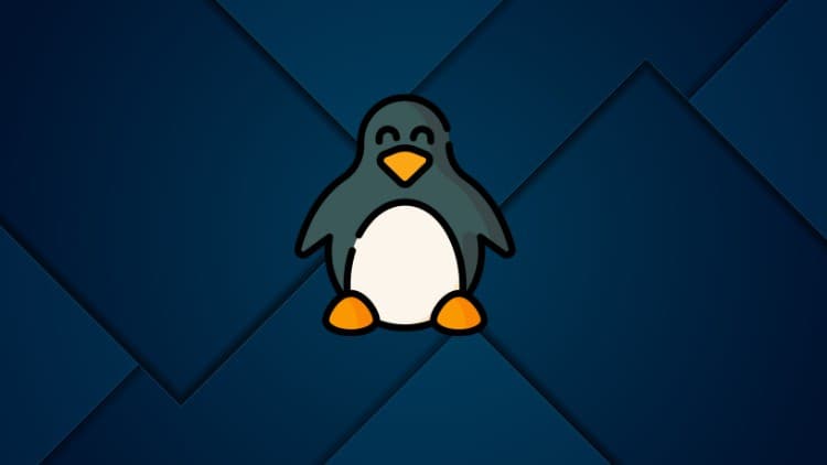 LPIC-1 (101-500) Practice Tests - Free Udemy Course 100% Off