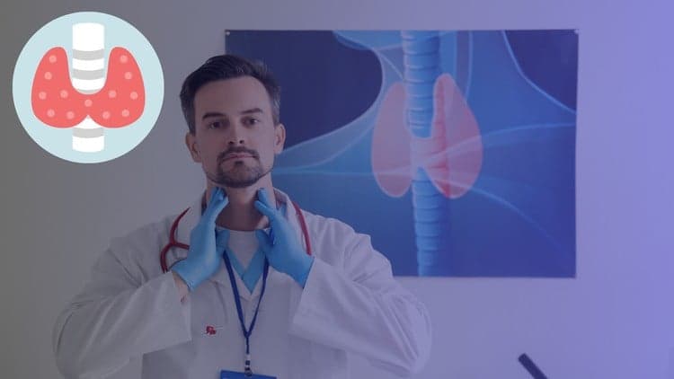 Free Udemy Course: Thyroid Care Mastery [100% Off]