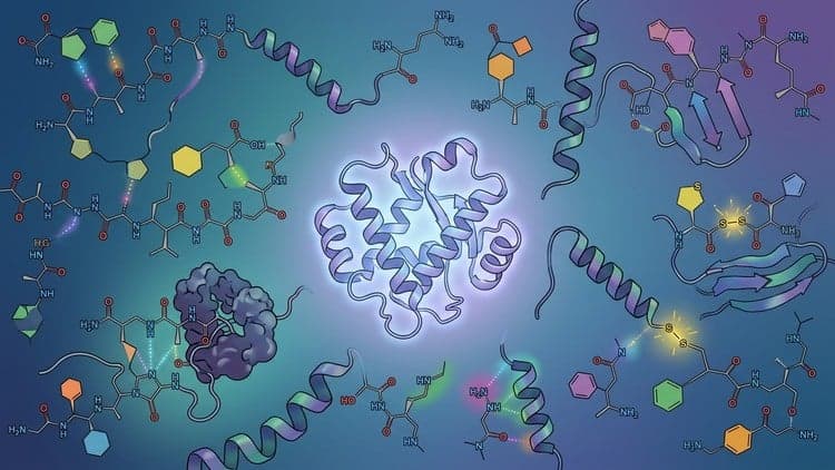 MCAT Biochemistry Practice Tests 2026: Amino Acids & Protein
