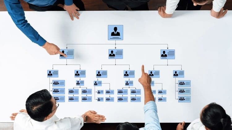 Medical Billing Team Management for Beginners